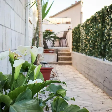 Luxury Apartment Marko Dubrovnik Exteriör bild